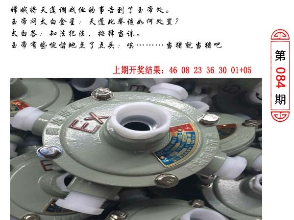 084期澳门生活幽默[图]